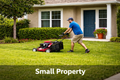 Lawn Maintenance – Small Property